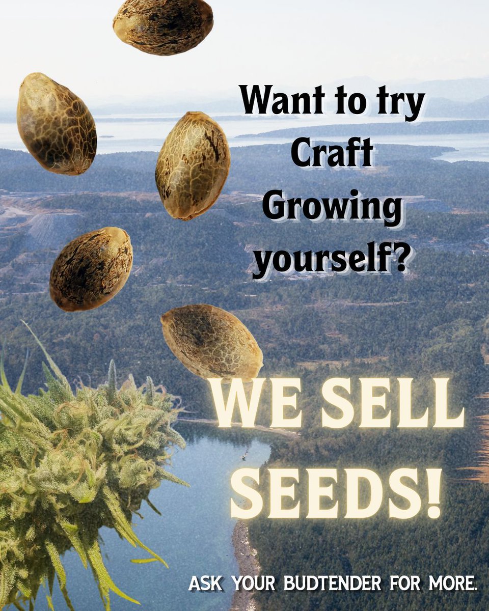 The Victoria Cannabis Company tweet media