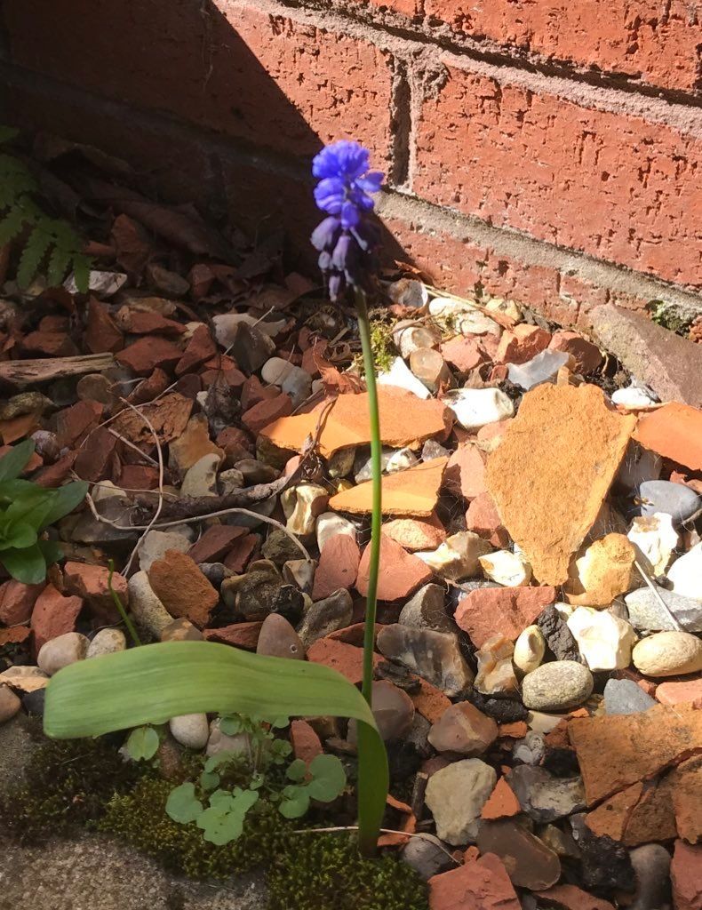 HandKnics tweet media