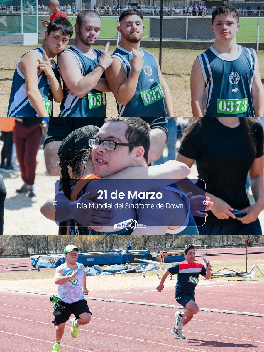 Concejo Deliberante de Córdoba tweet media