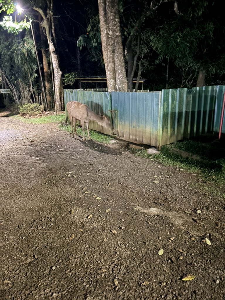 🦋Betsy tweet media