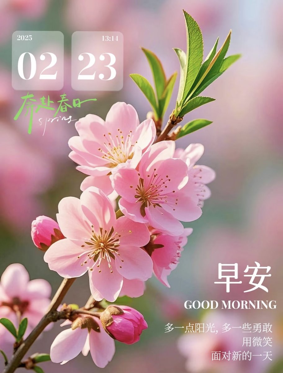 LIPU CH RAY tweet media