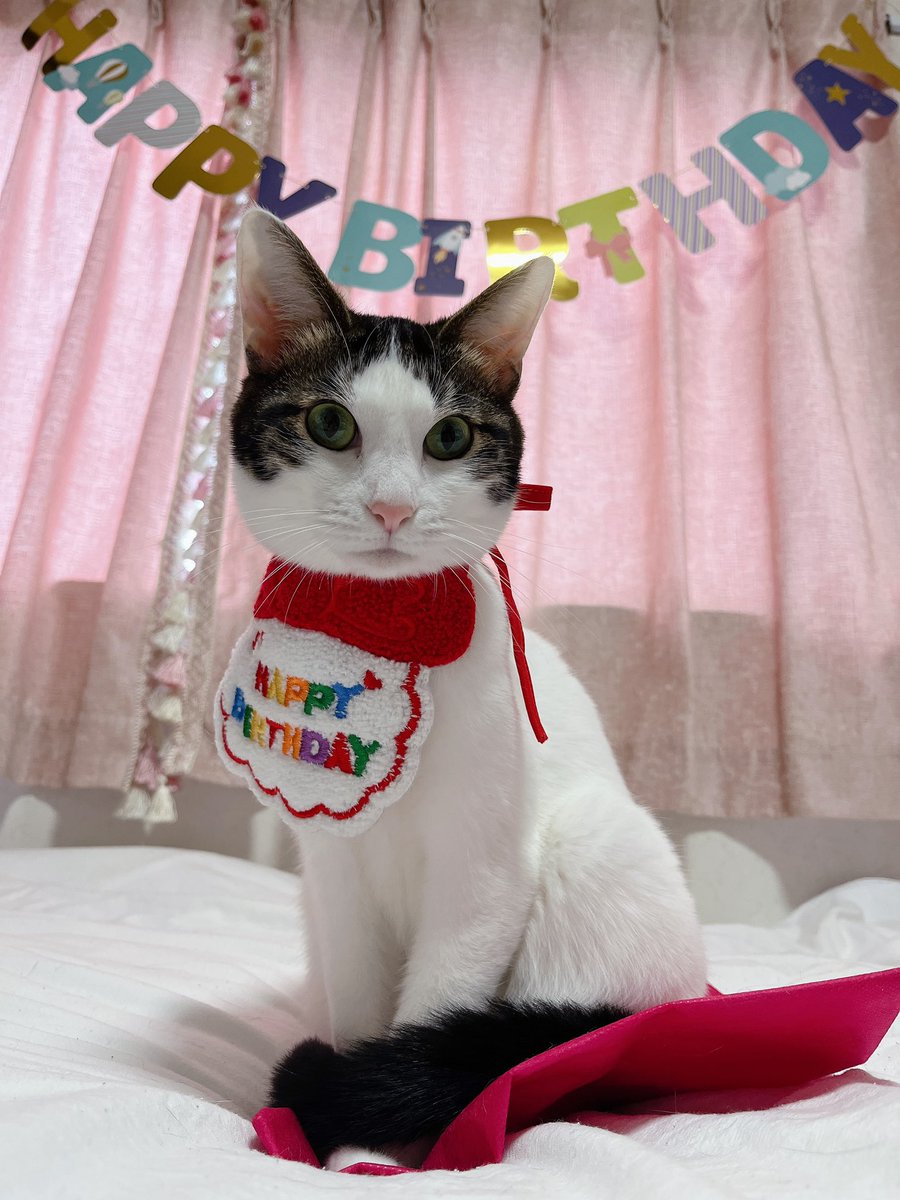 SAAYA Channel👸🏻 tweet media