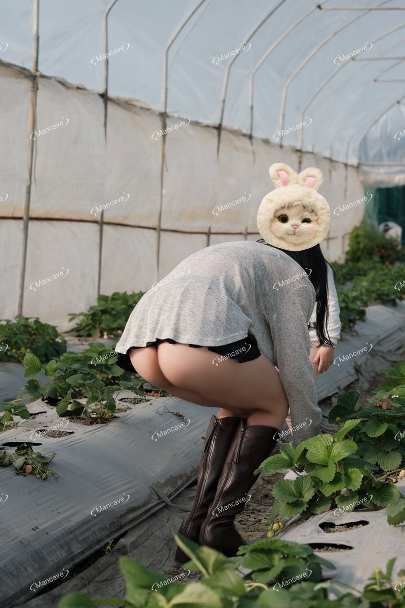 W_Mancave tweet media