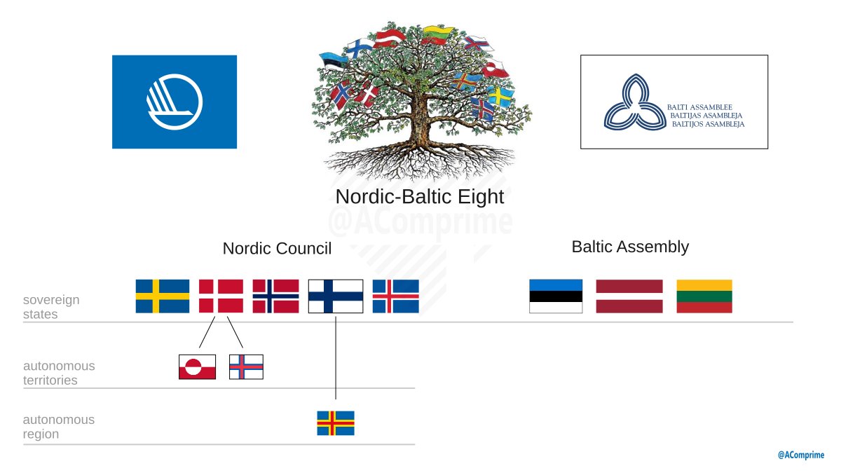 Affectus Comprime tweet media