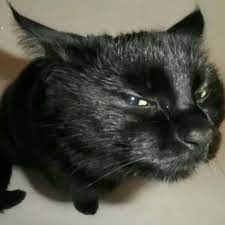 GenericMusicMan (แดณแดนแดน) || ๐๐๐๐๐๐๐๐๐ '26 tweet media