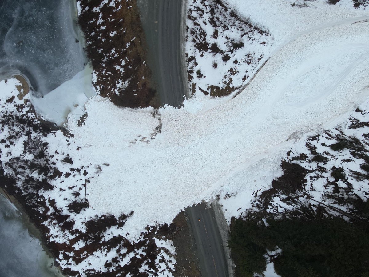 Lower Mainland Dist. tweet media