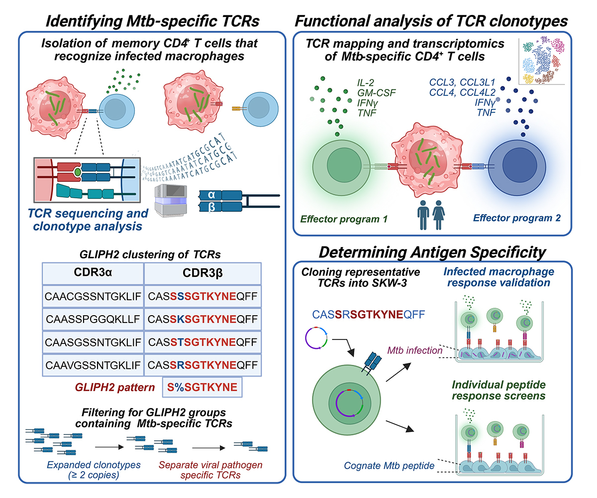 Journal of Experimental Medicine tweet media