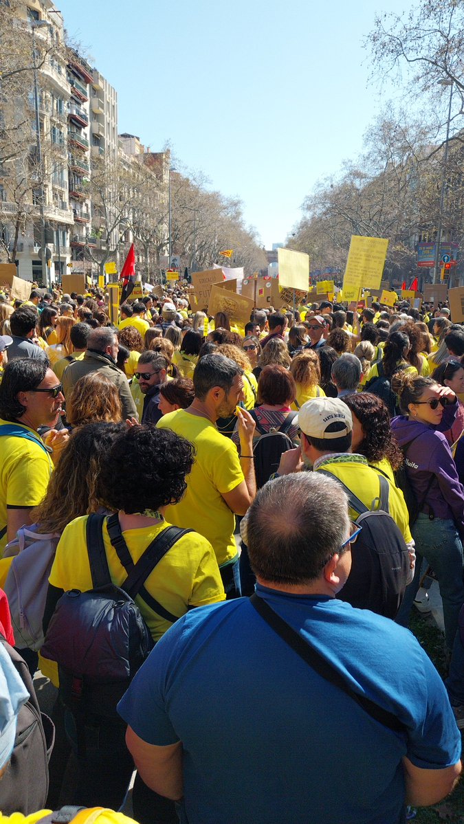 Roger Prims tweet media