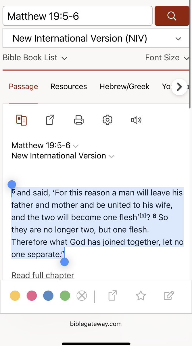 Whipton Dash tweet media