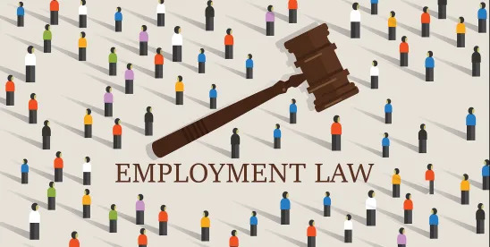 The Greatest Hits of Employment Law for In House Counsel: Immigration and the NLRB dlvr.it/TRc6FT