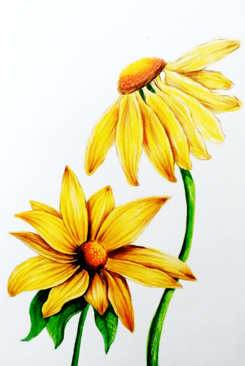 Kristiano Matos tweet media