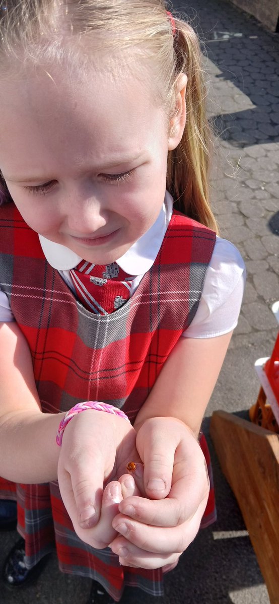 Mrs Heron tweet media