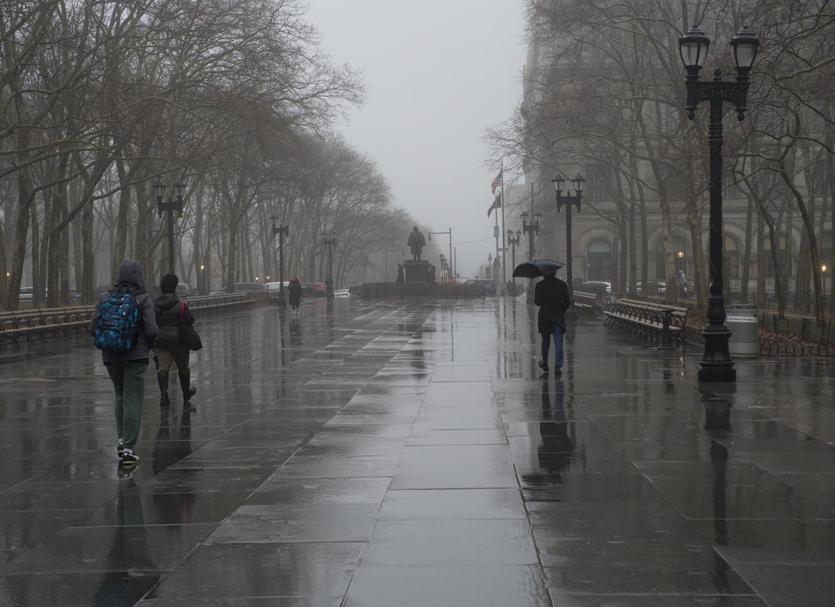 electimon tweet media