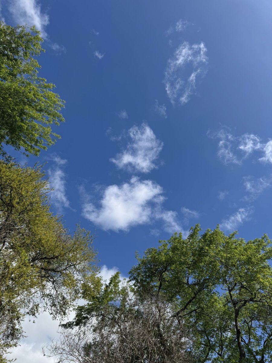 Anne Bagg tweet media