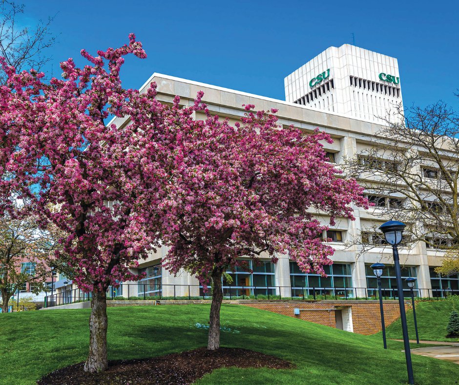 Cleveland State University tweet media