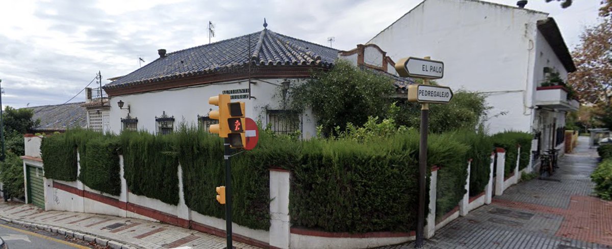 Fran Campos ۞ tweet media