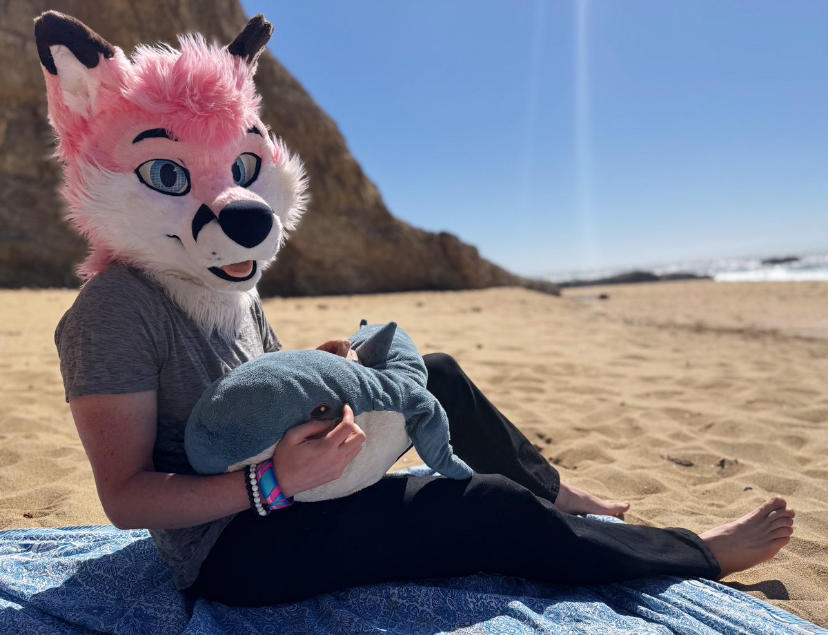 pjfoxes 🦊 🩷 tweet media