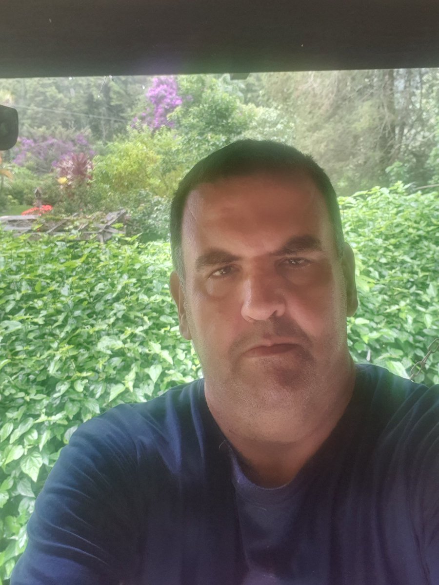 Rafael cardoso de carvalho tweet media