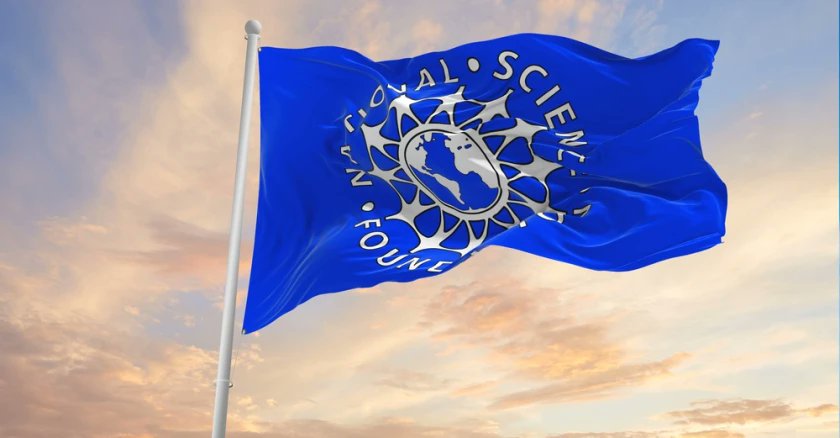 David Ross tweet media