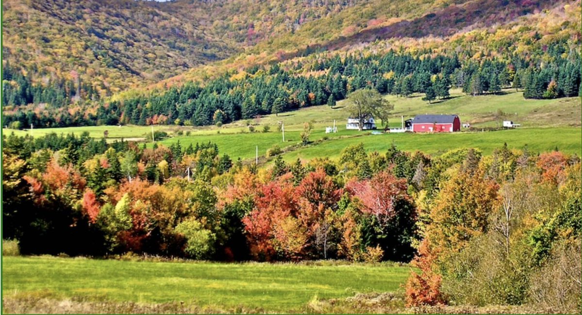 Canadian Trail Running tweet media