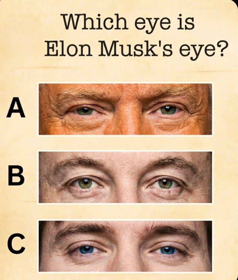 Sabrina Green tweet media