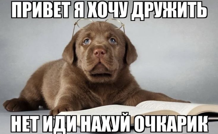 Ris&Pshe tweet media