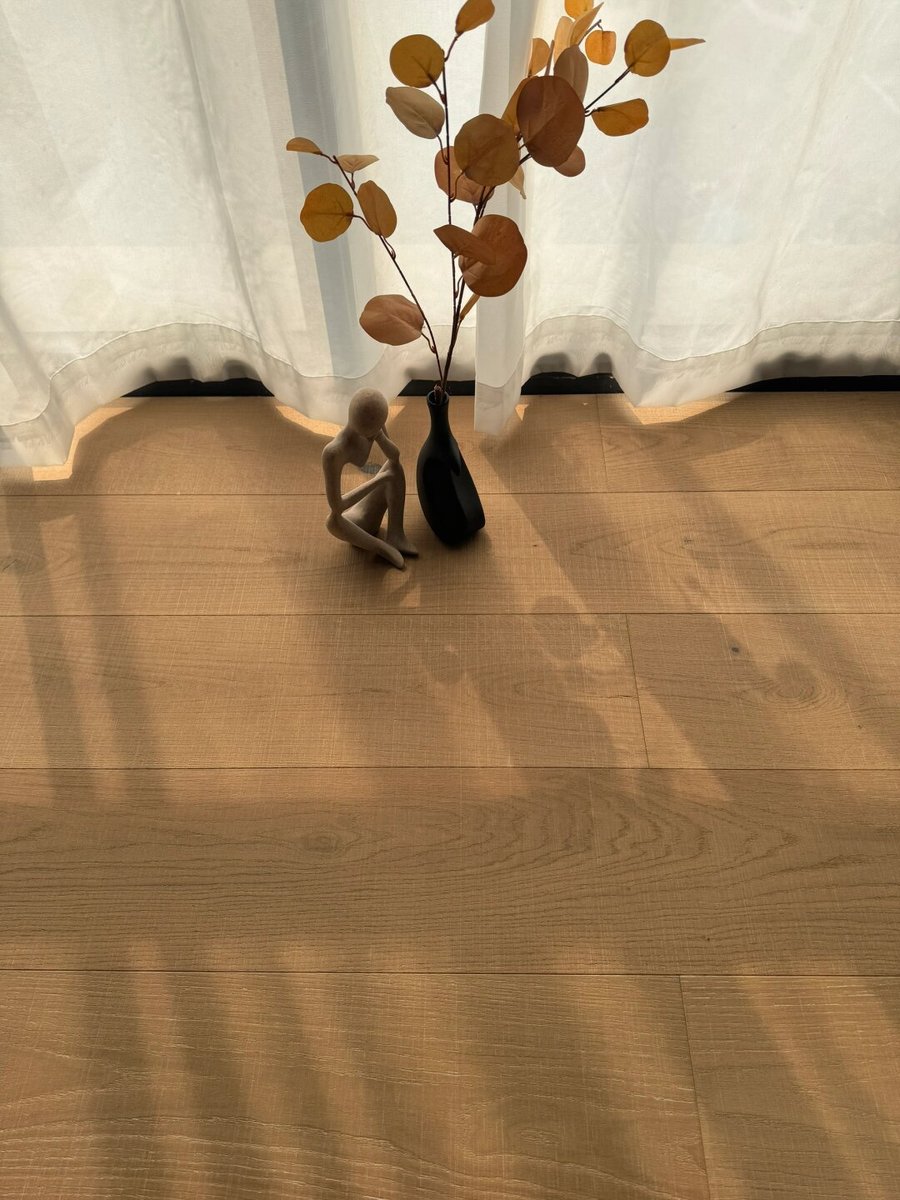 sorenza nweve  tweet media