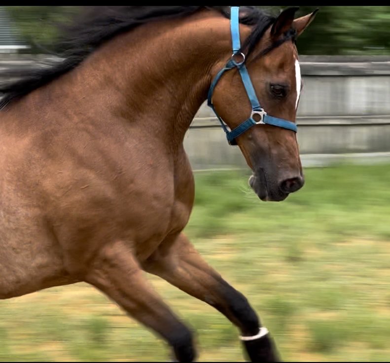 tiff 🌙🪲and RU🐴 tweet media