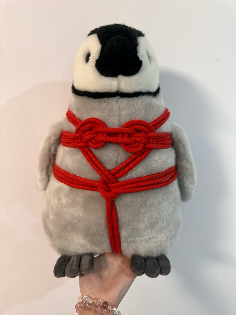 北长尾山雀 tweet media