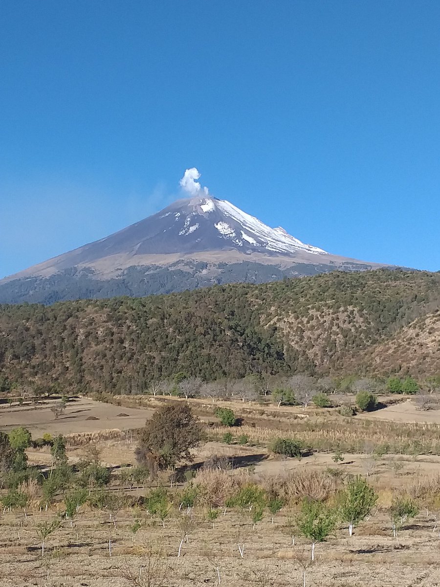 amantedelvolcan's tweet photo. Bienvenida primavera 🦊🐄🌅🏃🏻‍♀️
🌱🌼🌸⚘🌳🌹🏵💐🌿🌺🌲🌲🌲🌾
#Popocatépetl #Iztaccíhuatl #sierranevada #sannicolásdelosranchos https://t.co/umLyYf8pGr