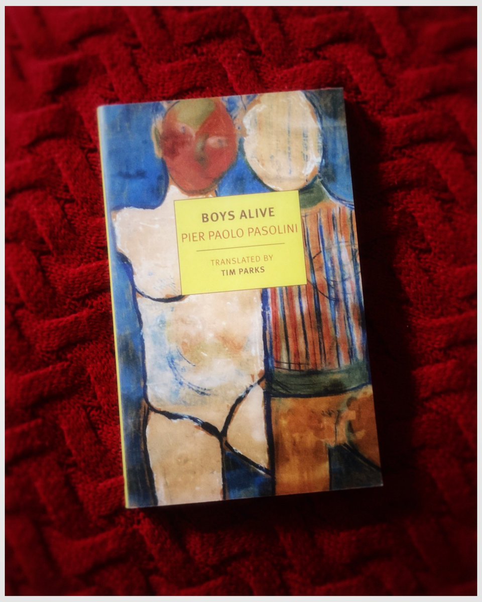 𝕒𝕟𝕒 🍒 tweet media