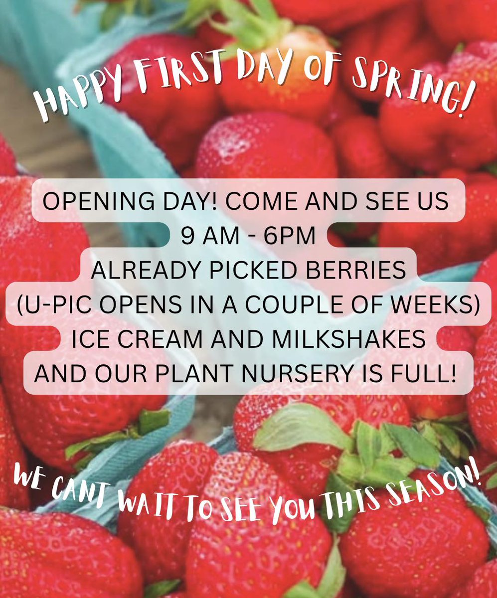 ❤️🩹Rocco DiBari❤️🩹 tweet media