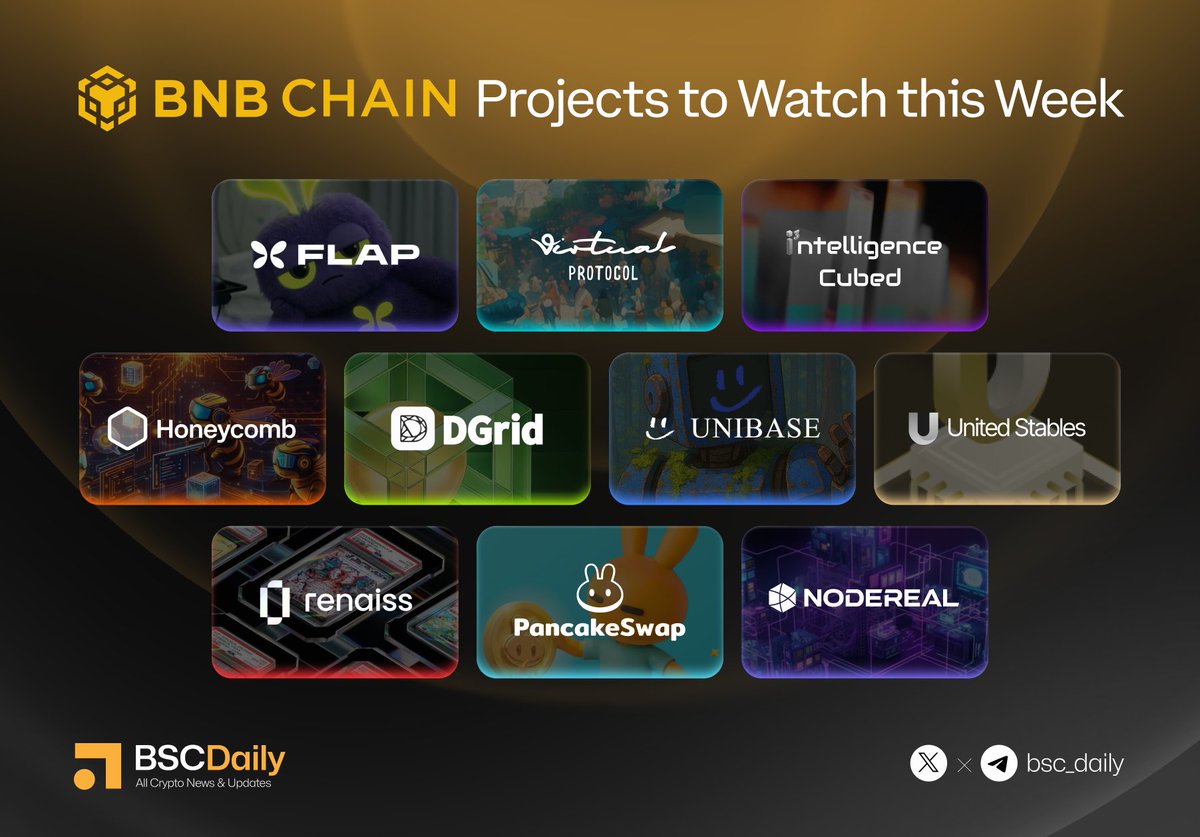 BSCDaily tweet media