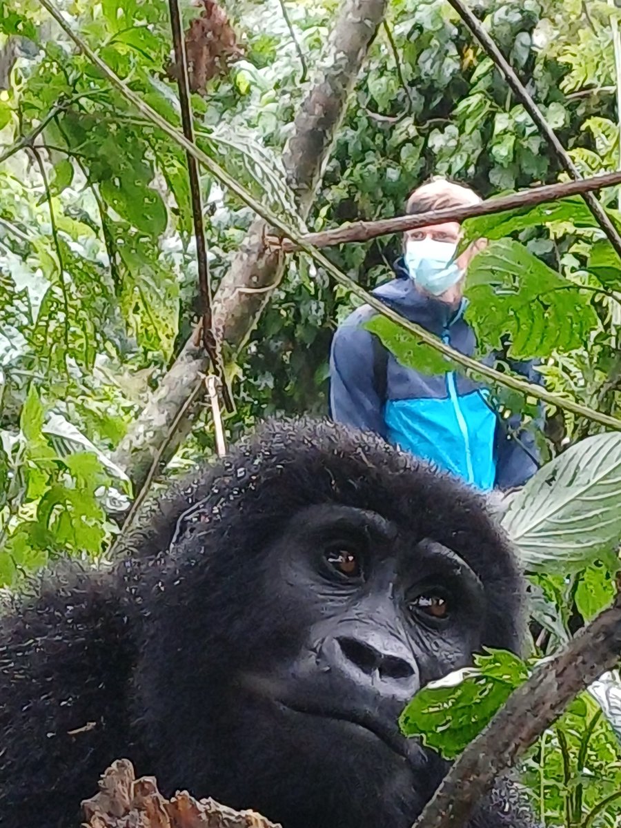 Dr Tom Crawford tweet media