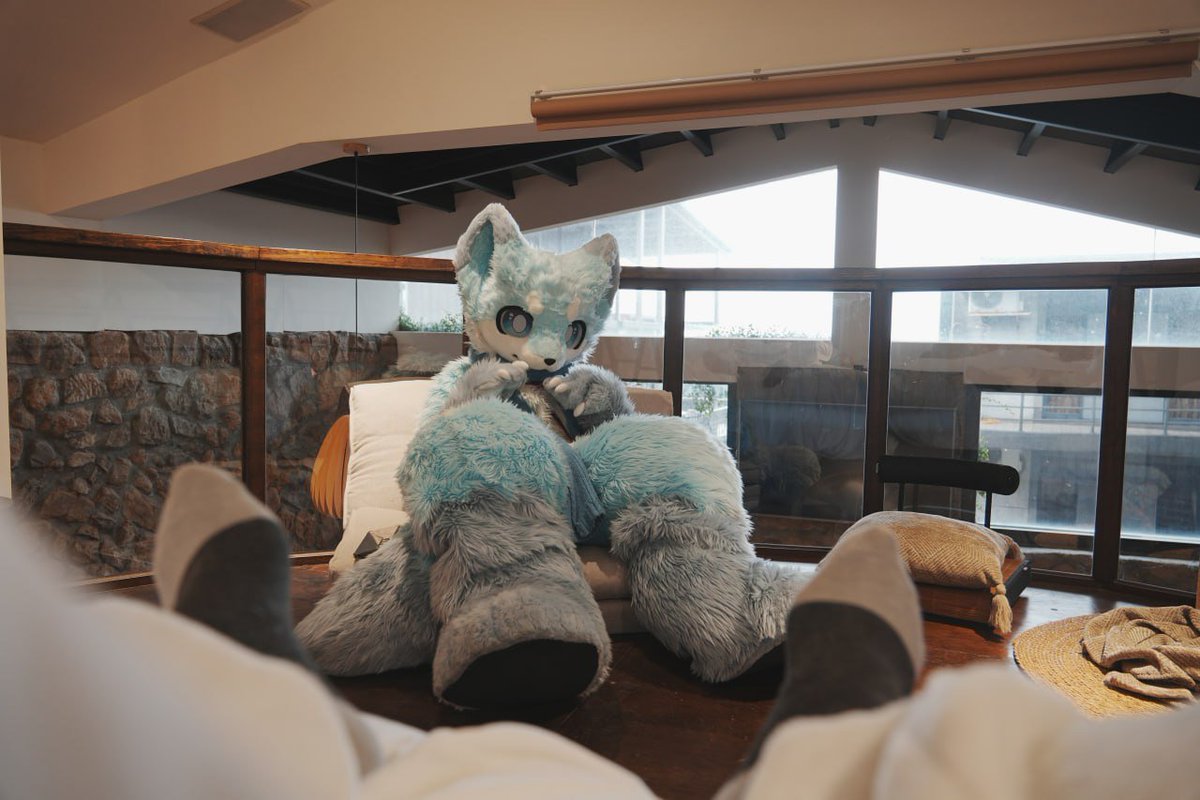 普洱|Flexolk tweet media