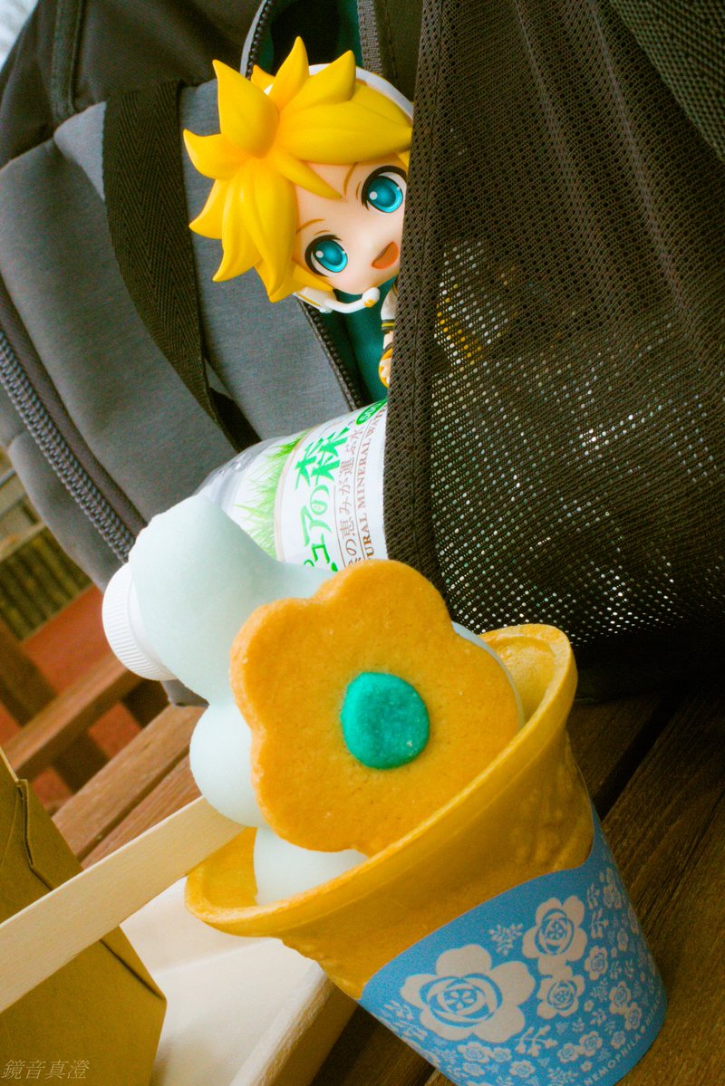 ぴよぴよB tweet media