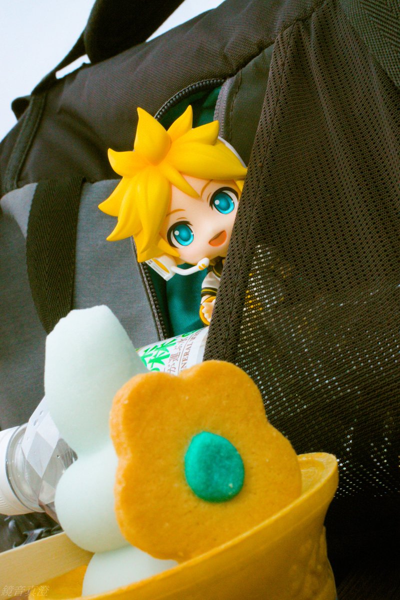 ぴよぴよB tweet media