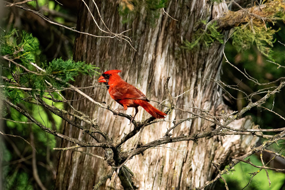 The Only James Magelk tweet media