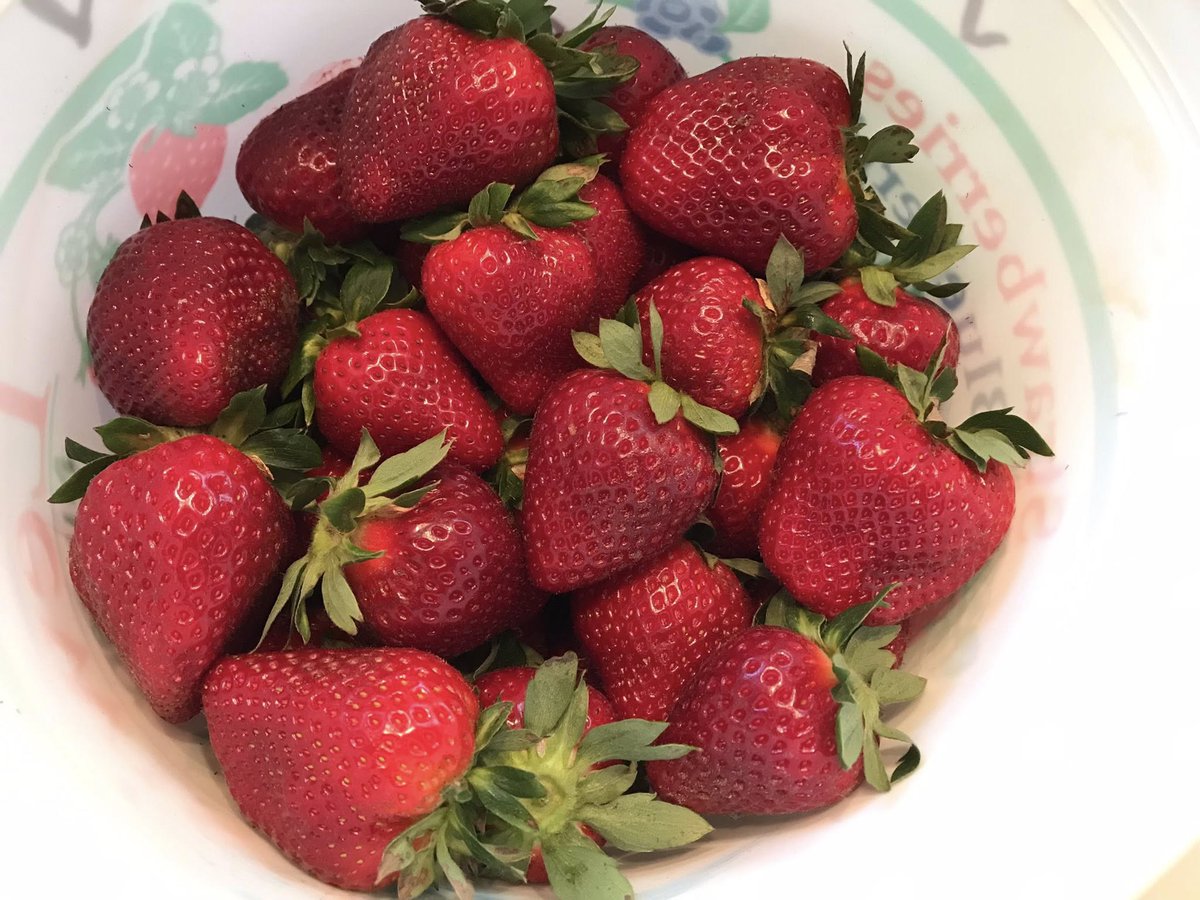 ❤️🩹Rocco DiBari❤️🩹 tweet media