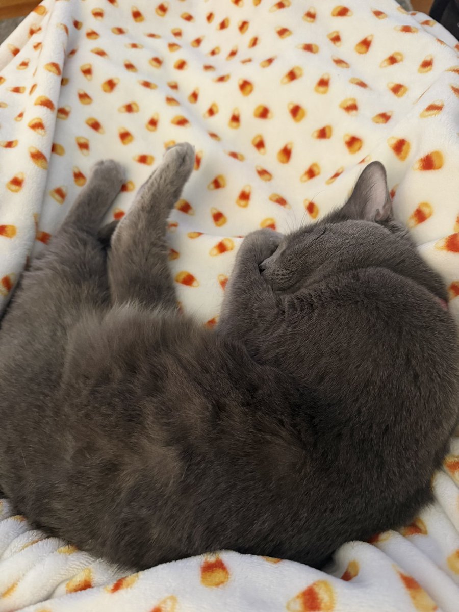 Matt Raines tweet media