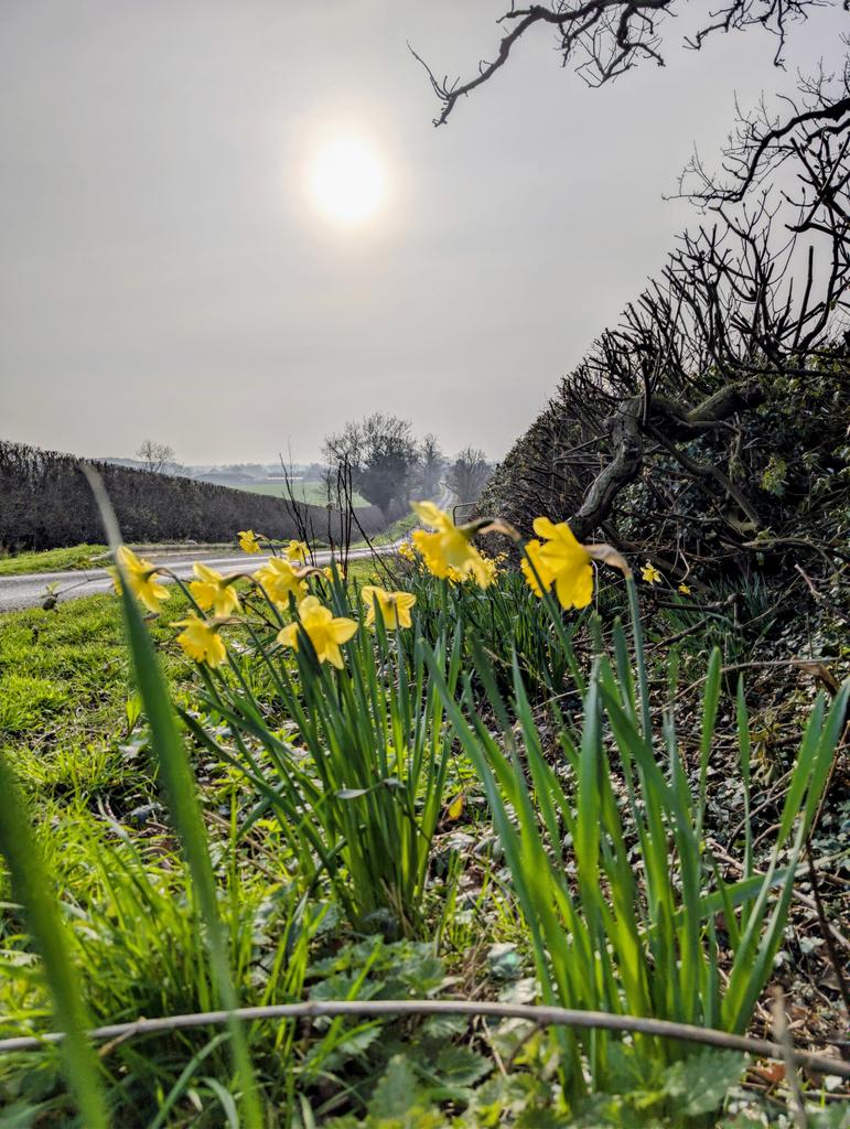 Papadopolis tweet media