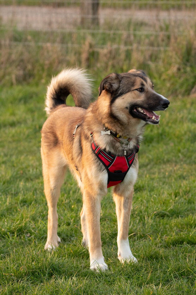 Gill Meek tweet media