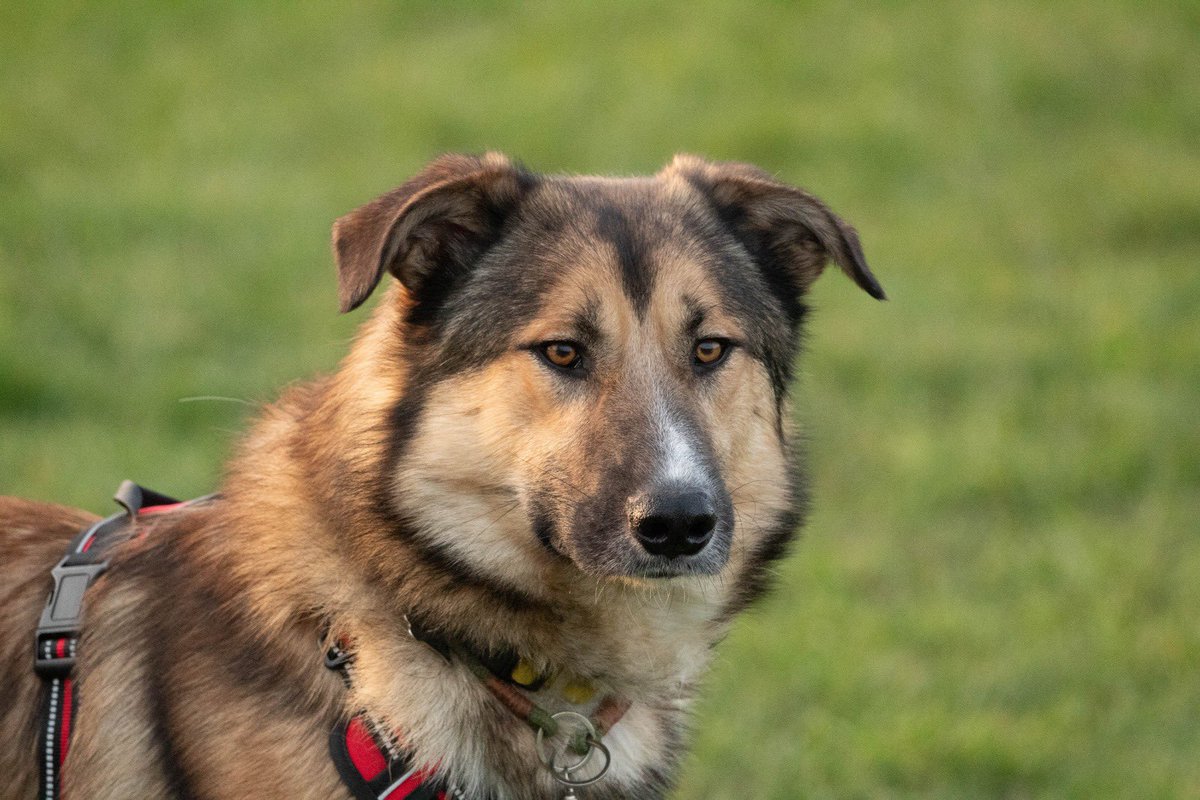 Gill Meek tweet media