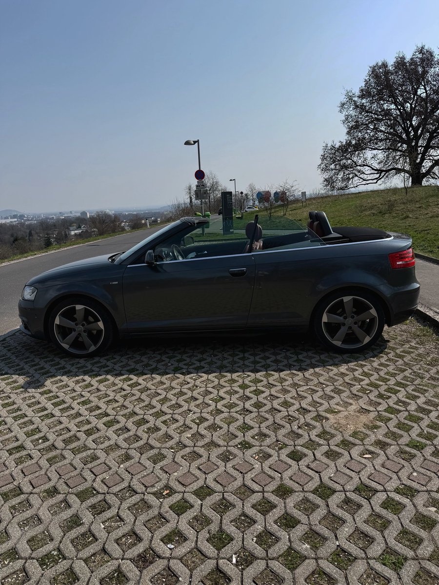 Alexander 𖤓 Nietzschean Vitalist tweet media