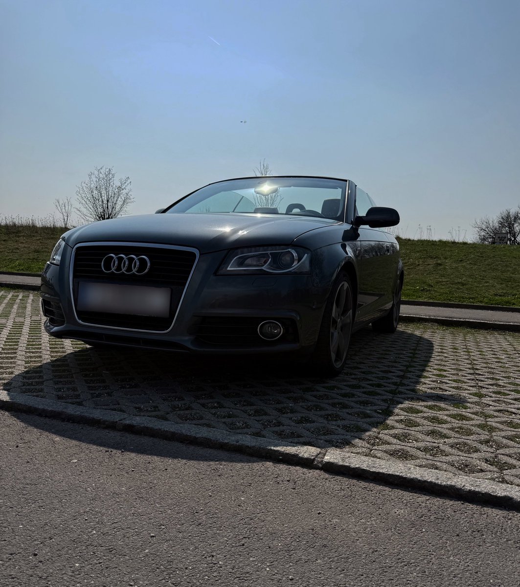 Alexander 𖤓 Nietzschean Vitalist tweet media