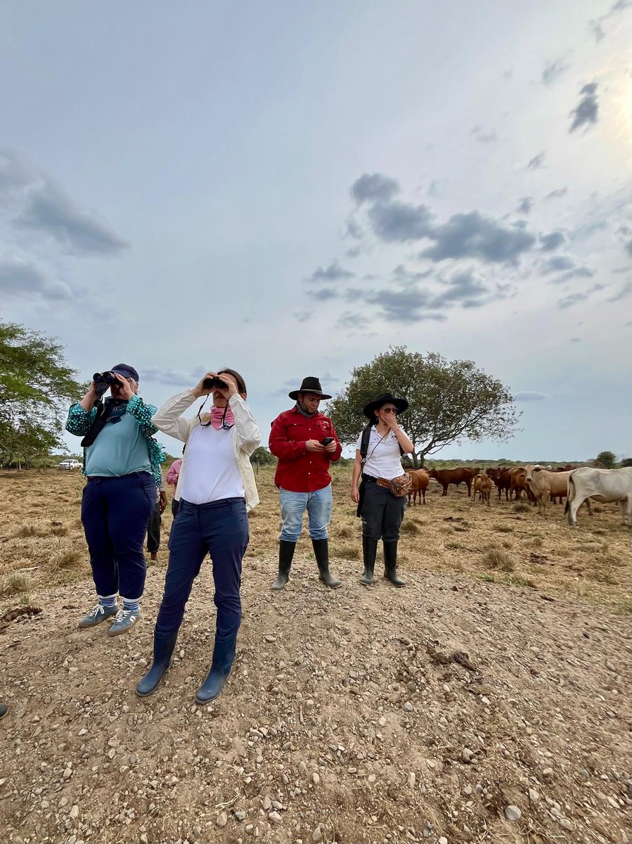 Alemania en Colombia tweet media