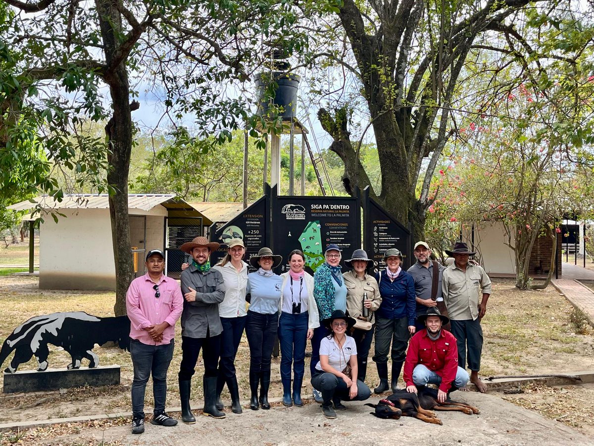 Alemania en Colombia tweet media