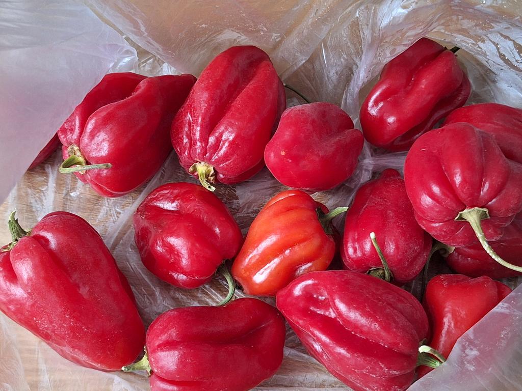 Ori🌛🌝🌜 tweet media