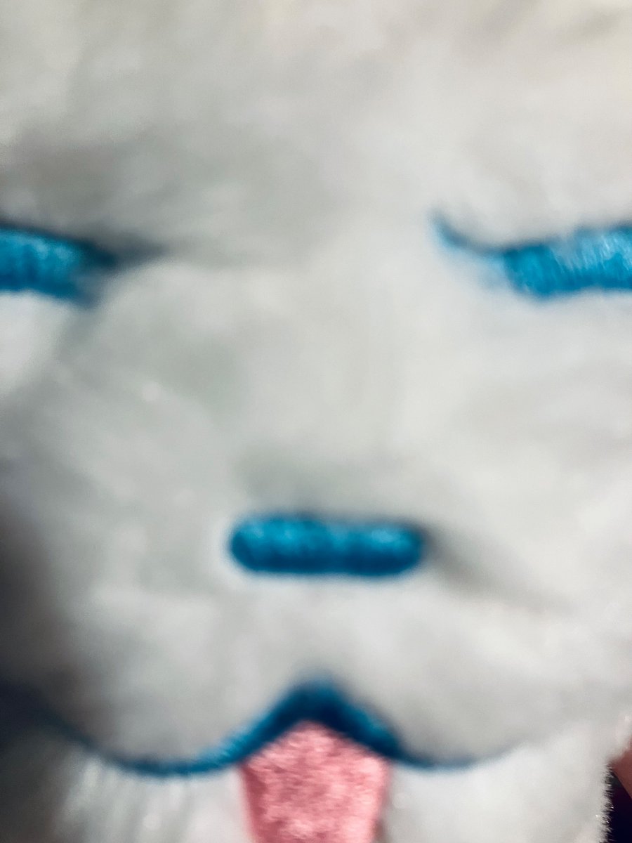 🌠LapisTheWolf(˶ˆᗜˆ˵) tweet media