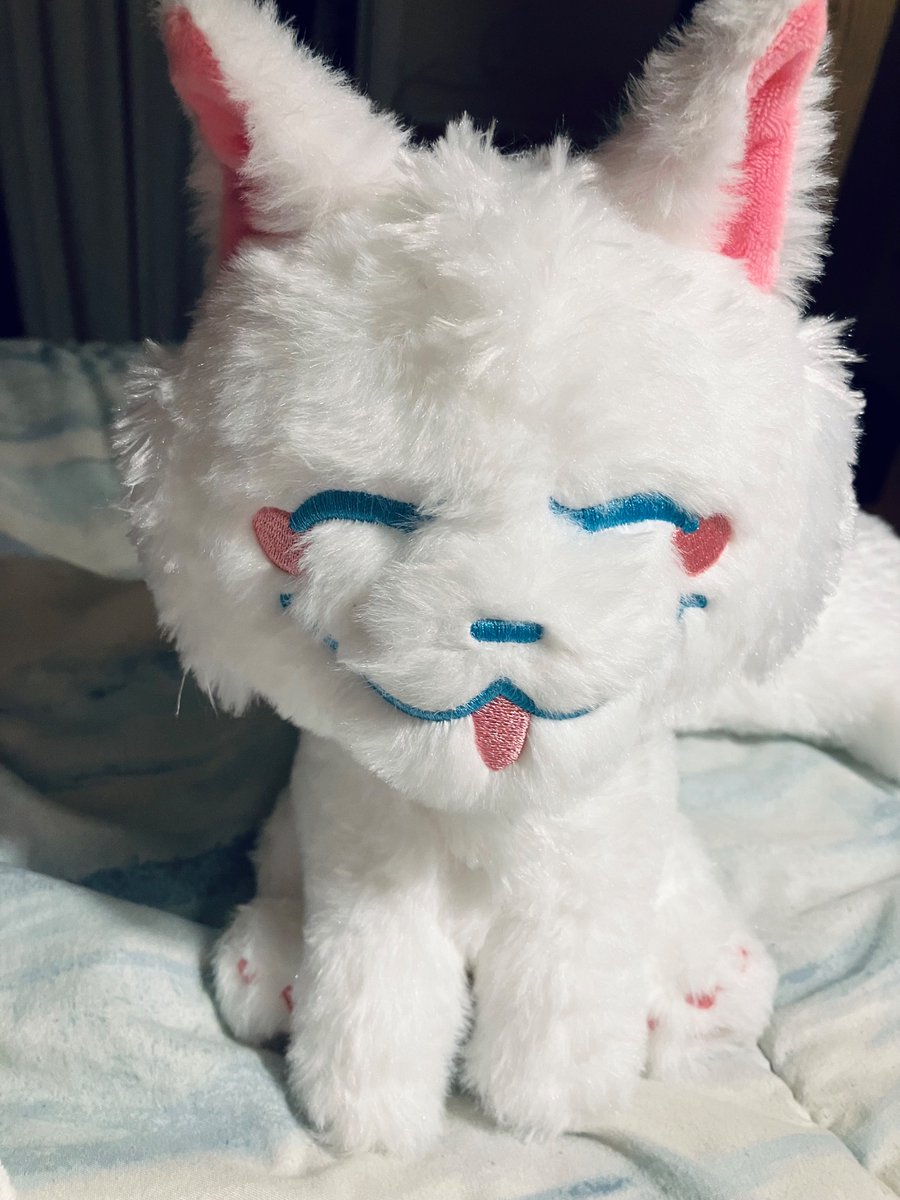 🌠LapisTheWolf(˶ˆᗜˆ˵) tweet media